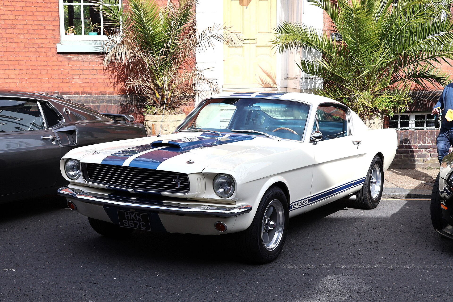 Shelby GT350